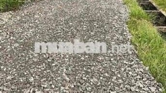 🔥 BÁN LÔ ĐẤT THỔ CƯ GIÁ RẺ – XÃ CHÂU THÀNH, TÂY NINH
