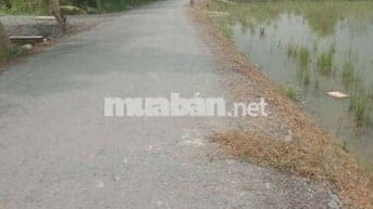 Đất vườn mặt tiền đường nhựa ba chả xã Hưng Long