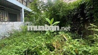 128.8m2 gia 11.5 ty nở hậu 7m2. Đúng 1 lô đường 23 gigamil TĐ