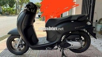 Scoopy 2025