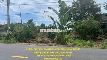 Bán GẤP Lô Đất Tiềm Năng Tại 530 đường Đa Kai, Đức Linh, Bình Thuận