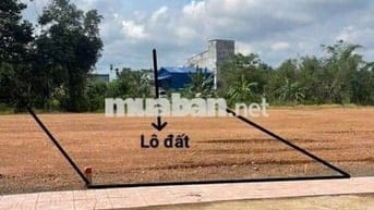 Anh trai kẹt tiền cần bán trong tuần