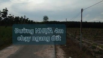 GĐ bán đất CAO SU 4.3ha (2tỷ4/ha TL) gần KCN Chà Là, rào B40 bao quanh