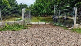 Bỏ phố về quê – không ngờ lại lời tới vậy!