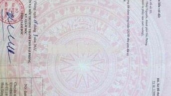 Cần Bán Đất Liên Khê Thuỷ Nguyên Hải Phòng