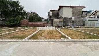 Bán đất thôn Ấp Tre, (Tổ 9 cũ), xã Quang Minh, TP HN. Thửa đất vuông