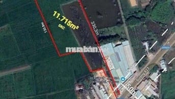 BÁN 11.715M2 ĐẤT CƠ SỞ SẢN XUẤT KINH DOANH - MT DT823 !