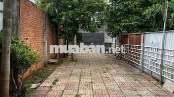 Cho thuê nhà nguyên căn ở gia đình