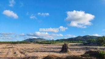 Bán đất tại Phước Hải dành cho người muốn xây nhà 780 triệu, 154 m2