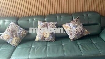 Chung cư cộng hoà garden 50m2 Quận Tân Bình