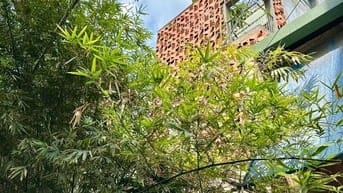 Cần bán nhà thiết kế đẹp đang cho thuê hẻm 482/ Nơ Trang Long