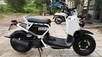 Honda Zoomer 50cc  đi học - đi chợ - đi cà phê