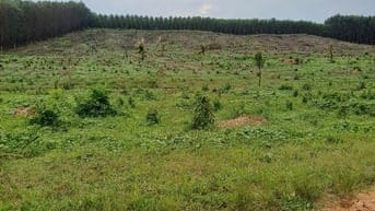 Làm Nhà máy, Lên đất ở gần Tp.HCM, gần Sân bay Long Thành-Cao tốc LTDG