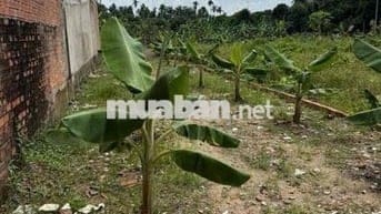 2 lô liền kề Mặt tiền An sơn 19 thuận An  Bình Dương cũ   Tổng diện tí