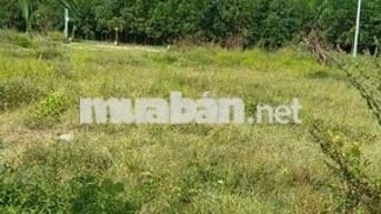 Bán đất tại Phước Hải, 1,2 tỷ, 149m2, pháp lý đầy đủ, mặt tiền rộng 6m