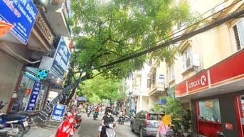 Chính chủ cho thuê mặt bằng kinh doanh - Mặt Phố Hồng Mai- Giá 16tr/th