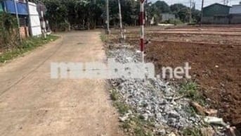 Cần tiền nên bán gấp lô đất ngay uỷ ban phường Bình Lộc