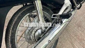alpha nhật đi lm