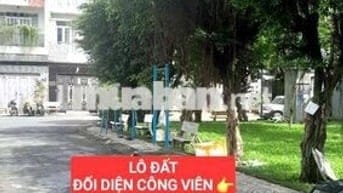 Lô đất ngay Công Viên Tô Hiệu - Hiệp Tân - Tân Phú 4.1x17