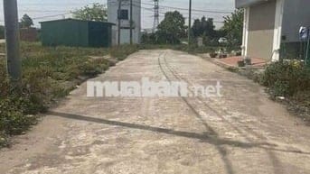 💥 SIÊU HÓT 👉 ĐẤT DỊCH VỤ quất Lâm - quất Động - thường Tín - THƯỜNG