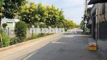 Cho thuê mt tl 37 kinh doanh tốt dt 6×15 giá 7tr chốt