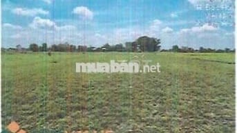 Bán ĐGTS đất tại xã Hiệp Hòa, Tỉnh Tây Ninh