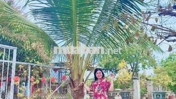 Nhà cho thuê mặt tiền đường Duyên Hải