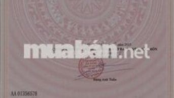 Cần bán 2 lô đất Trung Đông 7, vị trí đẹp, 107m2, 4tỷ3, Hóc Môn, HCM