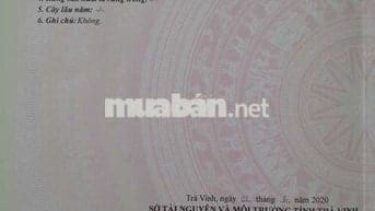 NHIỀU NGƯỜI NGOÀI KIA NÓI RẰNG QUÁ RẺ, KỆ, EM NHẮM MẮT BÁN LUÔN!