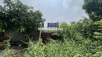 Bán bất động sản tại xã Hiệp Hoà, huyện Đức Hoà, tỉnh Long An, giá 1.1