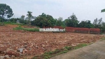 Chính chủ bán đất 194m2 Hiệp Hòa, Bắc Giang