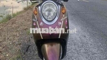 classico nâu socolate