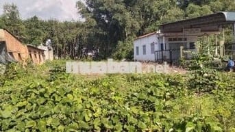 Cách Trường Cấp 3 Đồng Tiến đúng 300m. Hàng VIP để ở - kinh doanh