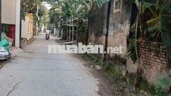 Chính chủ bán 108m fun thổ tại thôn bãi , cao viên, thanh oai, hà nội