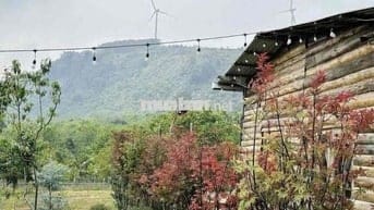 CHÍNH CHỦ CẮT LỖ 40% ĐẤT ĐÀ LẠT CÓ SẴN CĂN NHÀ GỖ VIEW RỪNG THÔNG