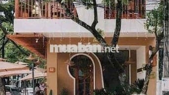 💚CHO THUÊ MẶT BẰNG LÔ GÓC NGÃ TƯ HẢI CHÂU 1 , NGANG :10M