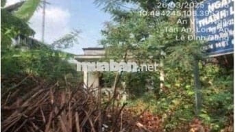 Bán ĐGTS đất tại phường Tân An, tỉnh Tây Ninh