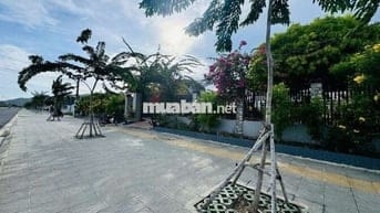 🔺ĐẤT NGHỈ DƯỠNG CÁCH QUẢNG TRƯỜNG PHƯỚC HẢI CHỈ 1,3KM

✅DT 520m2