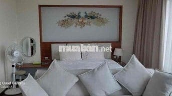 Căn hộ biển A La Carte tầng cao