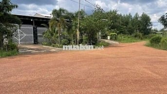 Đất vườn giá ngộp cần sang gấp 1200m2 SHR, công chứng ngay