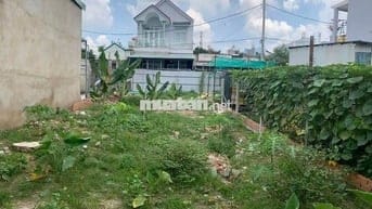 Cần bán gấp lô 180m2 đất Đ.Gia Tân, Gia Lộc, Trảng Bàng giá 600tr SHR