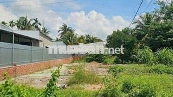 nền rộng trên 300m2 bán giá chưa tới 2,5 tỷ