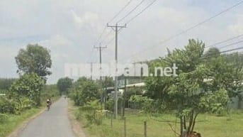 1117m2 đường nhựa nối 2 KCN lớn. Dân đông. 890tr