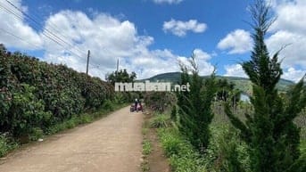 CHÍNH CHỦ BÁN FULL THỔ CƯ , CÓ 100 TC TT NAM BAN