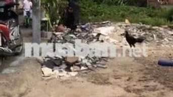 Bán đất 2 mặt tiền - 171m2 Xuân Thới Sơn 19  - 3.75 tỉ