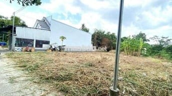 Ngay đường D835 của Mỹ Lộc - Cần Giuộc sổ hồng riêng, 650tr/100m2 thổ