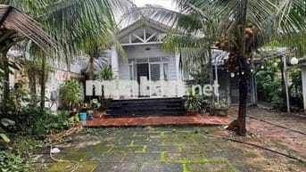 biệt thự y ngông nối dài cho thuê