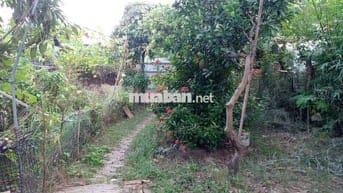 Nhà Cấp 4 tại ngõ 120 Phố Nhổn, Đường 32, Tây Tựu