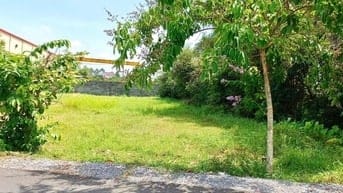 Đất mặt tiền nhựa trung tâm Phước Hiệp – 203m² full thổ – SHR  