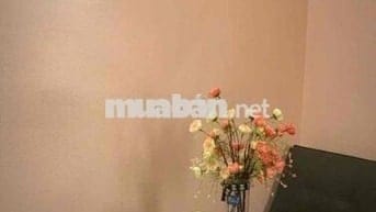 Cho thuê CH Mini TP Biên Hoà! giá chỉ 3,5tr/tháng! hd lâu dài!